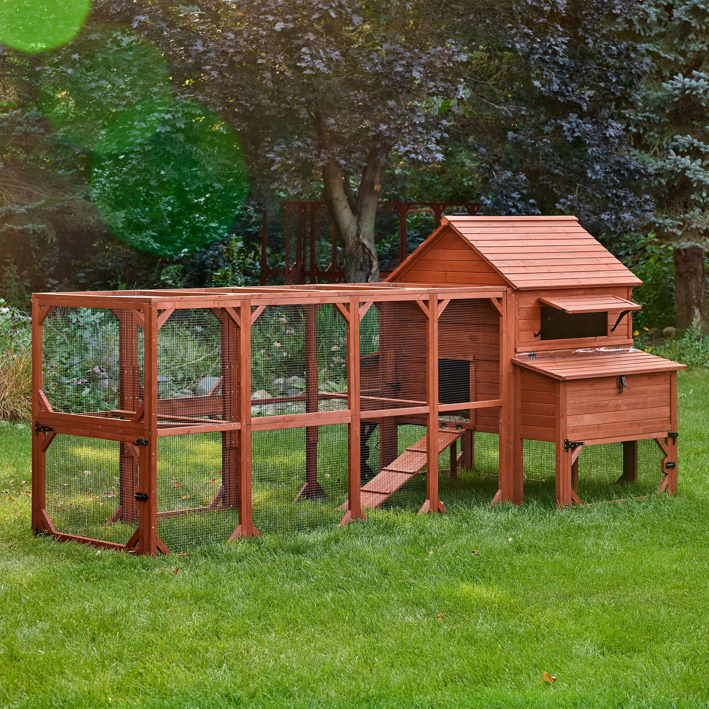 Chicken Coop for 10 Chickens – Rhode Island Homestead Coop with Run Extension Options - Image 32