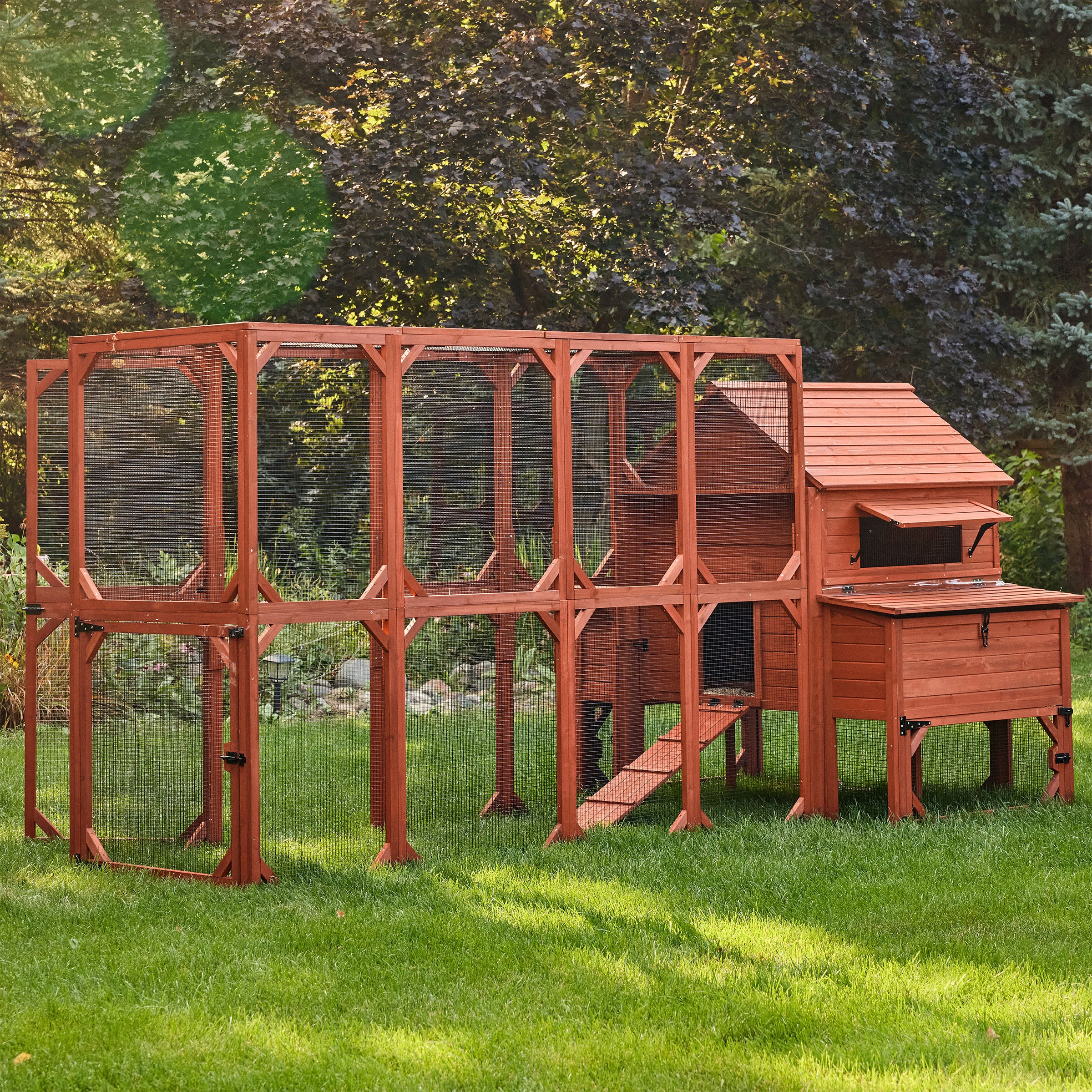 Chicken Coop for 10 Chickens – Rhode Island Homestead Coop with Run Extension Options - Image 33