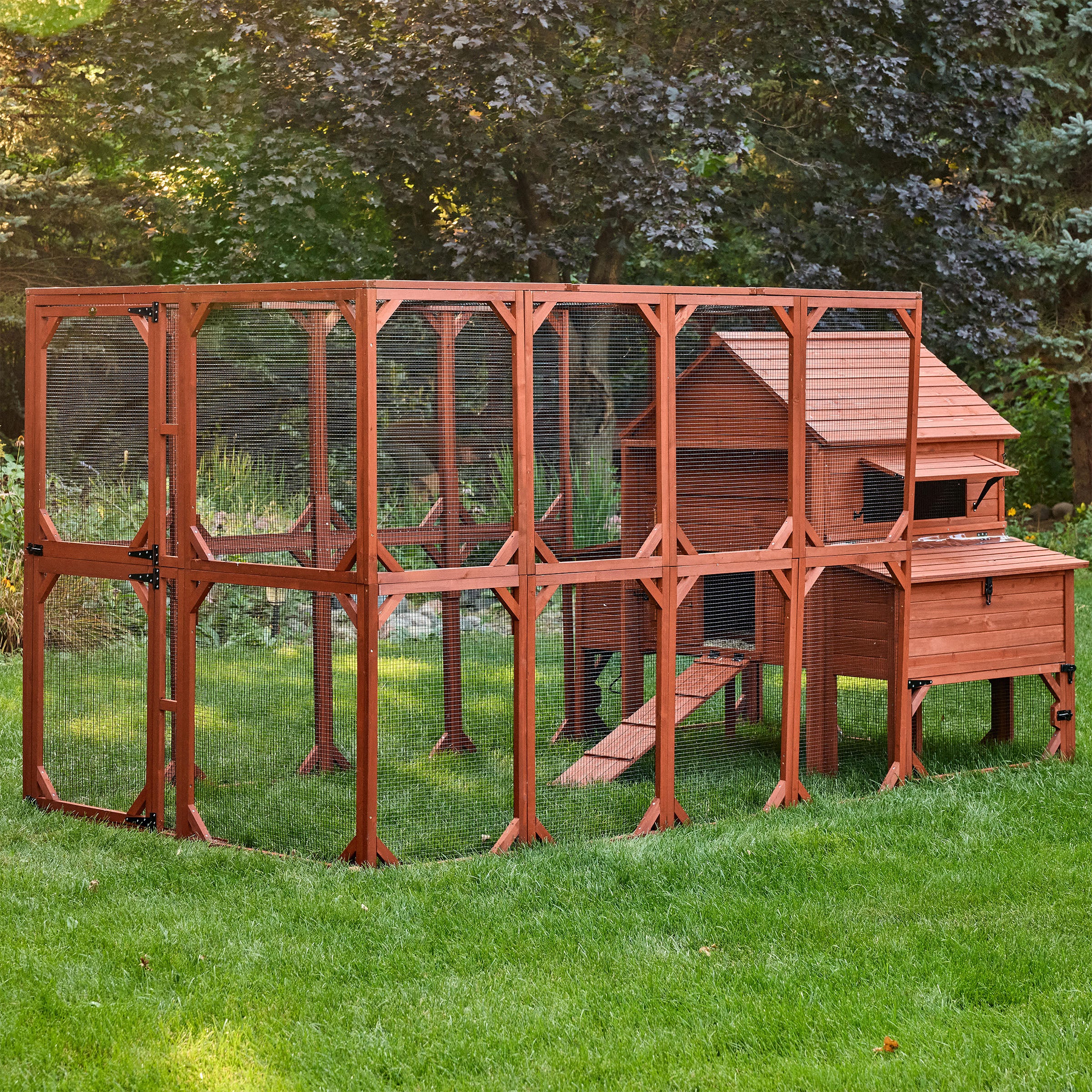 Chicken Coop for 10 Chickens – Rhode Island Homestead Coop with Run Extension Options - Image 34