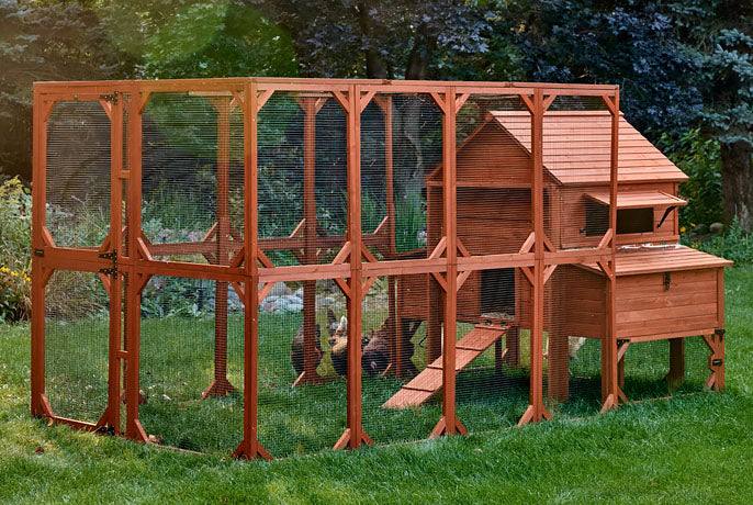 Chicken Coop for 10 Chickens – Rhode Island Homestead Coop with Run Extension Options - Image 5