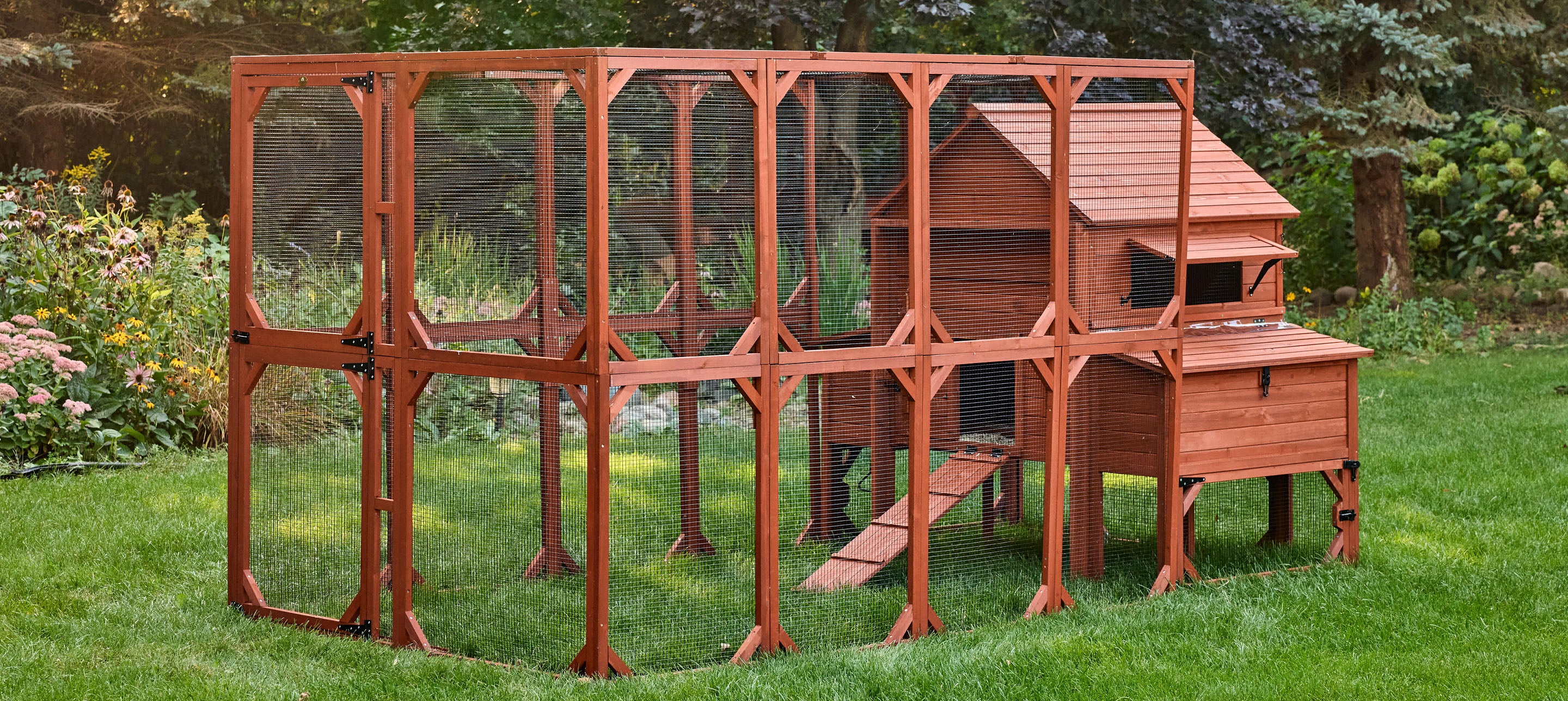 Chicken Coop for 10 Chickens – Rhode Island Homestead Coop with Run Extension Options - Image 7