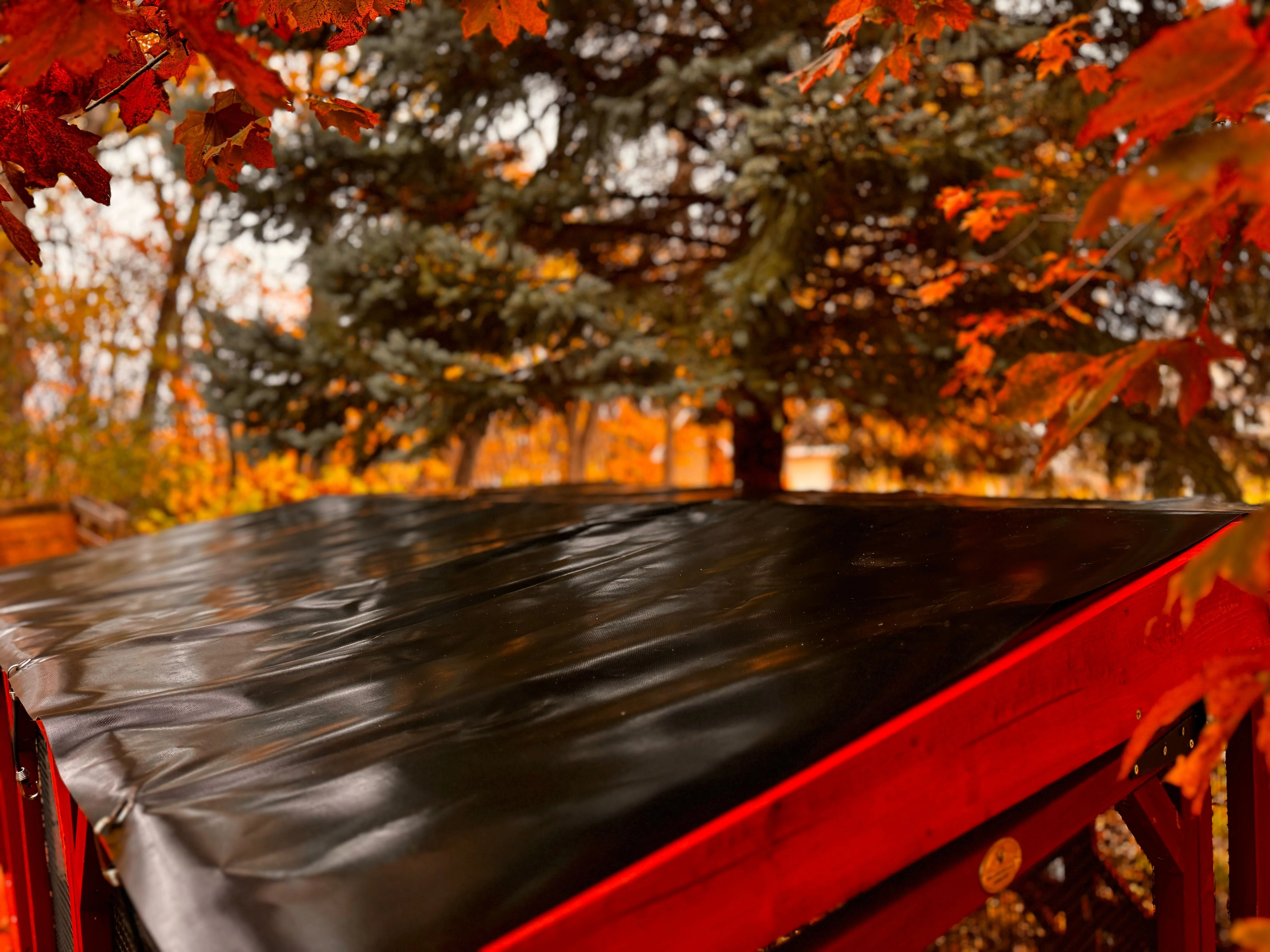 Vinyl Roof for 6x8 Brahma Run Extension - Image 3