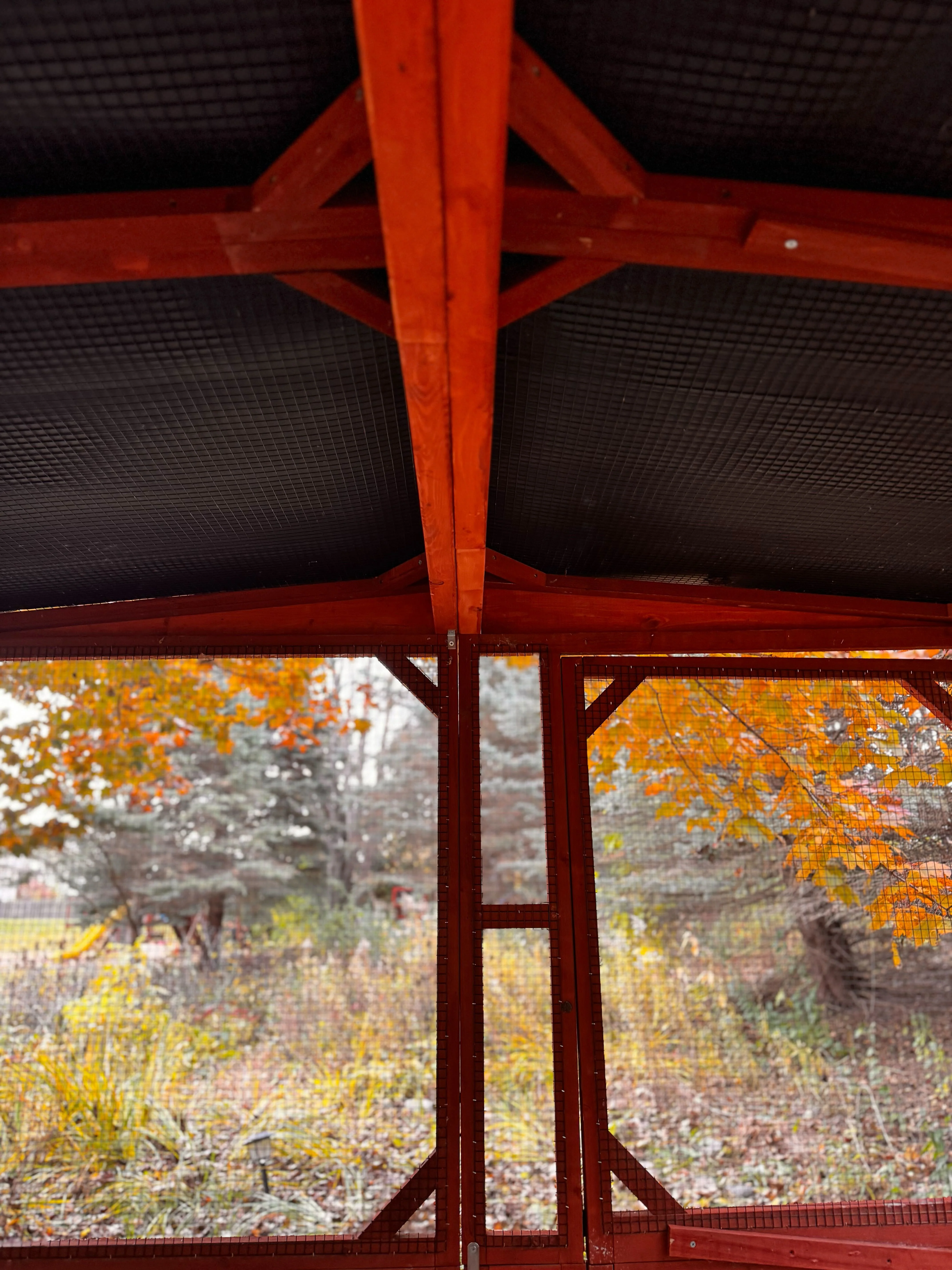 Vinyl Roof for 6x8 Brahma Run Extension - Image 5