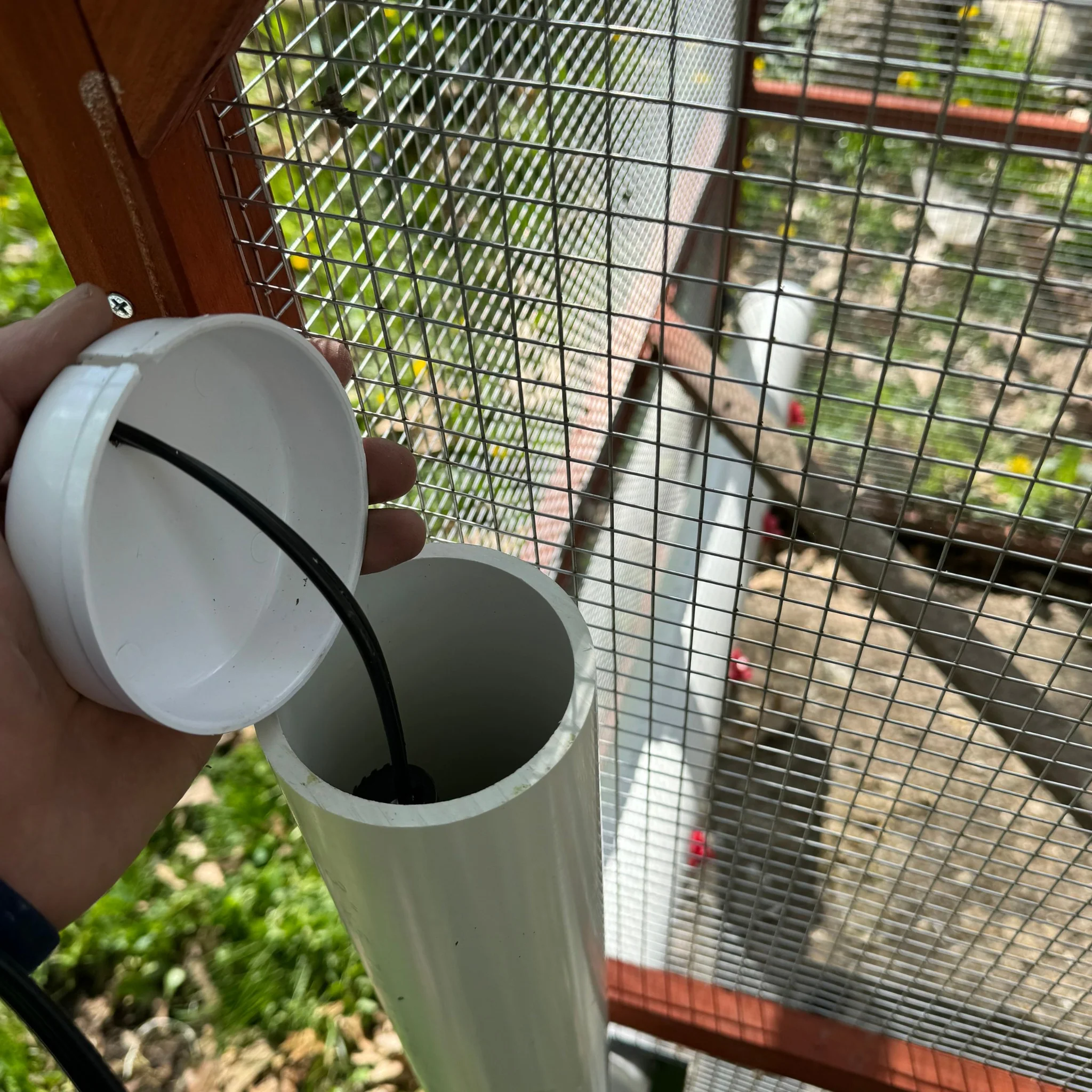 Water Heater for Chicken Waterer - Image 5